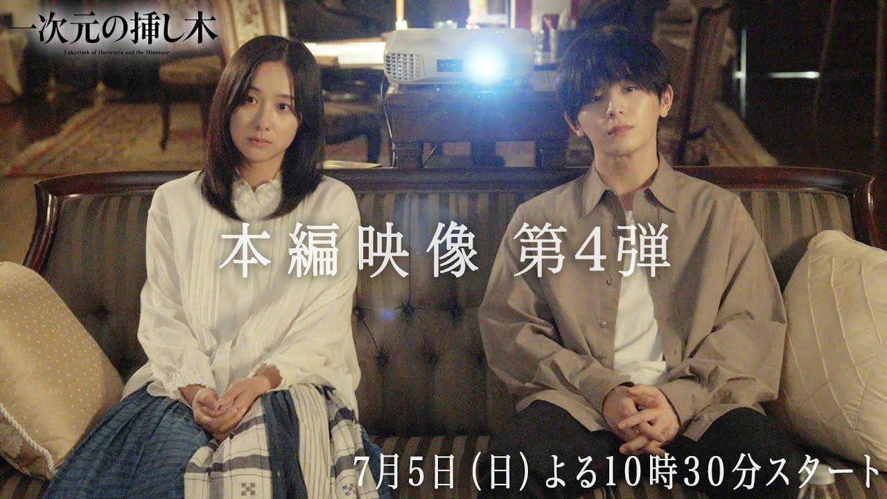 一次元の挿し木（ドラマ）
