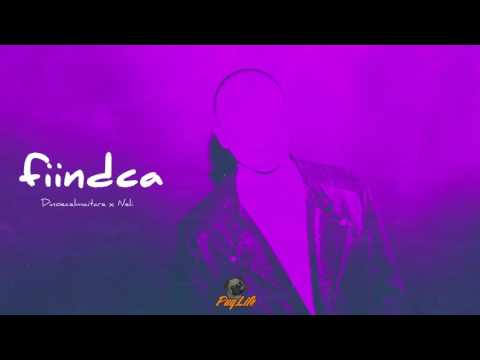 Dinoecelmaitare - Fiindca feat. NELI THGOD (Audio)