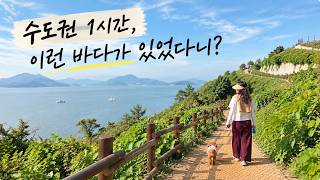 강아지 댈고 수도권 1시간 내에 제주도 같은 둘레길이 있다니!! 🐶