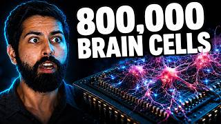 This Computer Is Made of Real Human Neurons (I Programmed It)