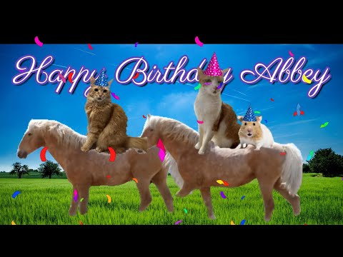 CATS EYE WITNESS NEWS - BIRTHDAY GREETINGS FOR ABBEY