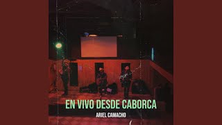 El Arbol Del Mayo (En Vivo)