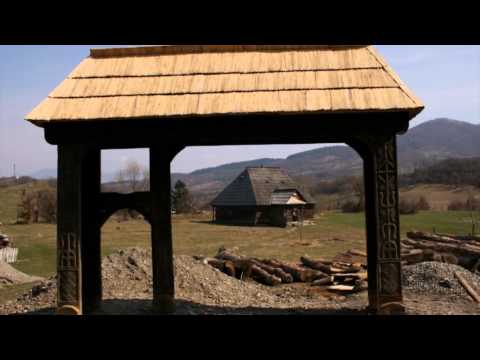 Valeriu Penisoara - Cuvantul lui Roata catre Divan