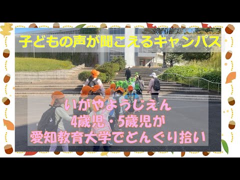 【愛知教育大学】子どもキャンパスプロジェクト「井ケ谷幼児園児」愛知教育大学でどんぐり拾い