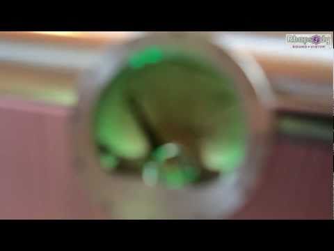 Dan D'Agostino "MOMENTUM" monoblock amplifier at Rhapsody