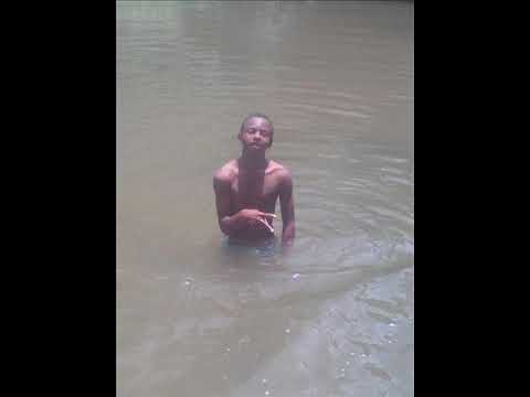 no quiero coro con ningun palomo