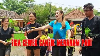 Download lagu Artis Cantik Luna Maya Berlumuran Lumpur Saat Menanam Padi Di Sidoarjo mp3
