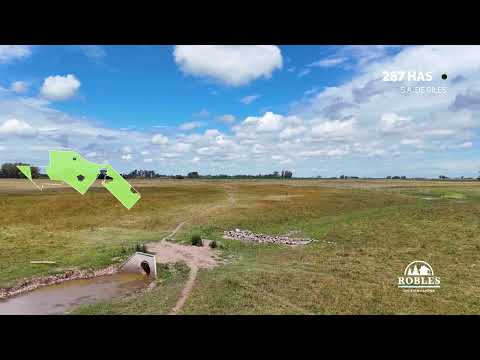 San Andres de Giles - 287 has.