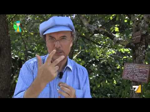 Il Pollice Verde sono io (Puntata 26/09/2015)