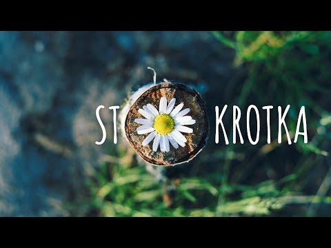 Stokrotka - Piosenki harcerskie