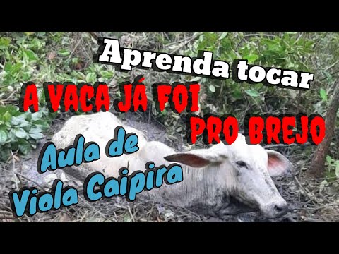 Vídeo Aula - A Vaca Já Foi Pro Brejo - Como Fazer o Solo de Introdução (3 formas diferentes)
