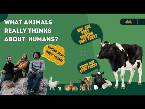 Inside The Minds of Animals!