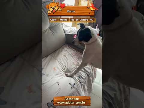 Vídeo de Bento