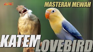 Download lagu MASTERAN KAPAS TEMBAK VS LOVE BIRD mp3