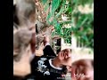 Anushka Sen Like App Videos