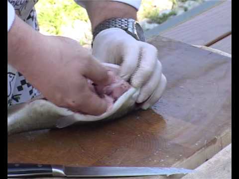 Kuchařská technika -- příprava pstruha na filet