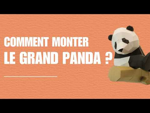 Grand panda sur branche - vidéo de présentation