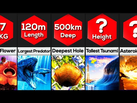 PLANET EARTH World Records