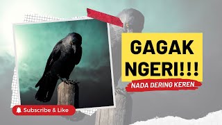 Download lagu Bunyi Gagak di Malam Hari | Notifikasi WA Keren mp3