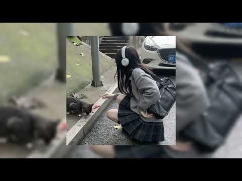 Impacto - Enjambre(SPEED UP)