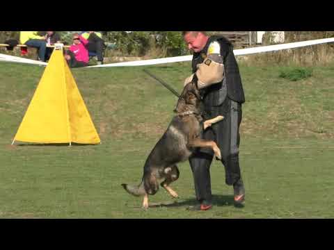 MM MSKS Zbraslav 2018 - Ostrčilík Marek - Beembo Erpemos - obrana/defense