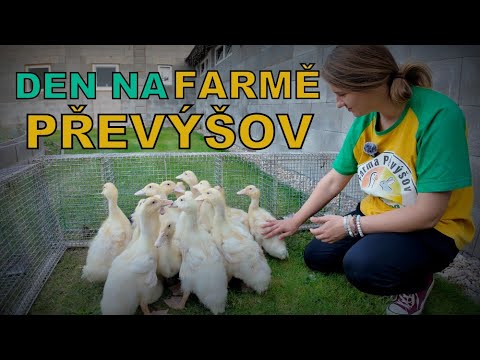 DEN NA FARMĚ V PŘEVÝŠOVĚ