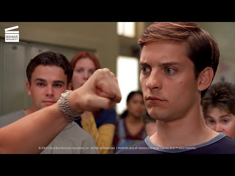 Spider-Man : Peter vs. Flash