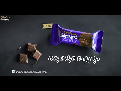 Cadbury ChocoBakes Cakes