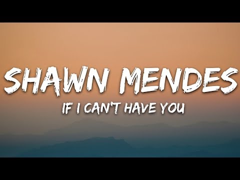 Shawn Mendes - If I Can't Have You (Lyrics)