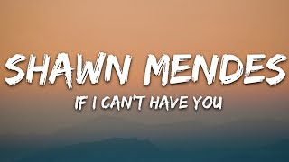 Shawn Mendes - If I Can&#39;t Have You (Lyrics)