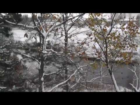 Pirmais sniegs 26 oktobris Staicele