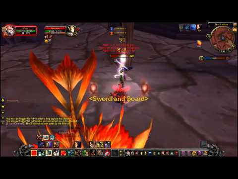 Parry VS level 63 Blood Elf Hunter World PvP