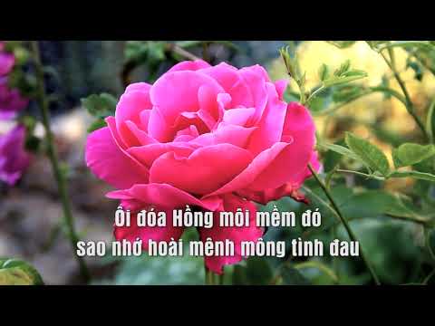 Thể hiện bởi Kim Ngân