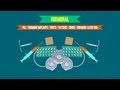 A Brief History Of Birth Control