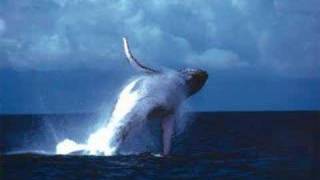 Est ce que tu me suis