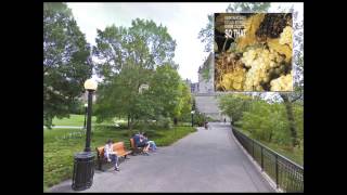 Jazz Piano / Guido Manusardi - Introduction