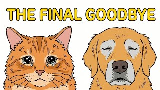 Dogs and Cats Can Sense Their Final Hours: Watch For These Signs