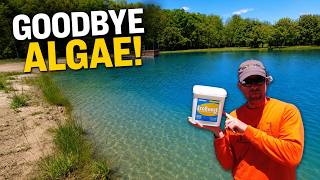 How to Keep a Pond Clear All Summer