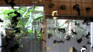 preview picture of video 'Villa for rent in My Thai, Phu My Hung, Dist.7, HCMC, Viet Nam.'