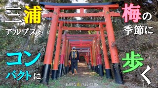 【横須賀線 田浦駅】三浦アルプスをコンパクトに歩く！田浦梅の里～乳頭山～白赤稲荷へと歩く周回ルート ＃登山 ＃トレッキング ＃ハイキング ＃矢落山