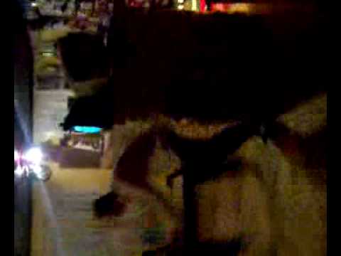 bacau !darmanesti !betiv !