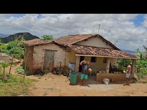 A wonderful place with an abundance of fruit in the Agreste region of Paraíba #livinginthecountry...