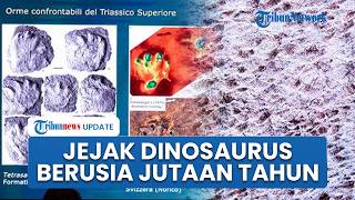 Ribuan Jejak Kaki Dinosaurus Ditemukan di Pegunungan Italia, Diperkirakan Berusia 210 Juta Tahun
