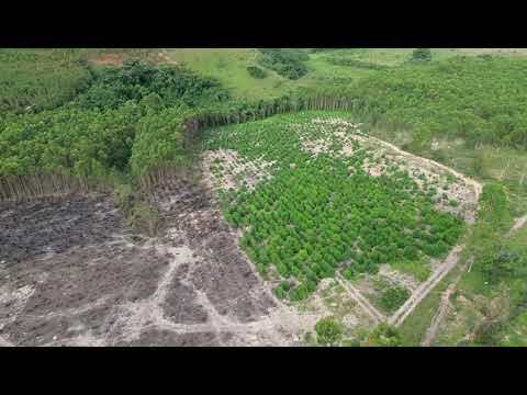 Fazenda Minas gerais - Ritápolis