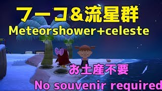 【あつ森】フーコと流星群きてます（Meteorshower+celeste）【AnimalCrossing】