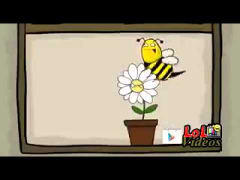 Ich bin eine Biene :P Du bist Gefickt!