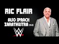WWE | Ric Flair 30 Minutes Entrance 3rd Theme Song | 