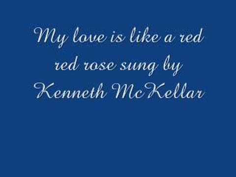 My love is like a red red rose