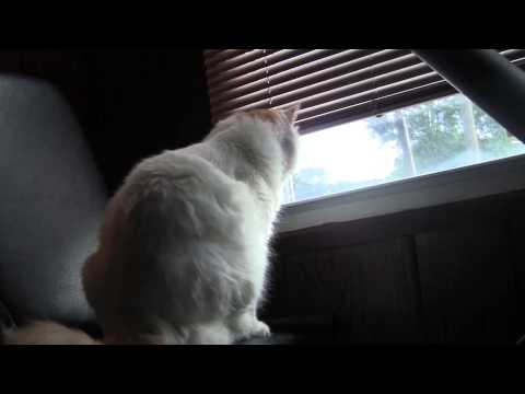 Marissa's edited b roll