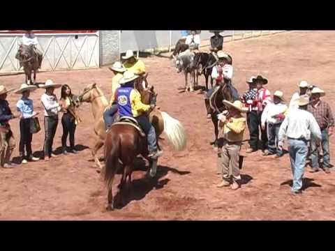 FIC 2014 resumen domingo 4 mayo